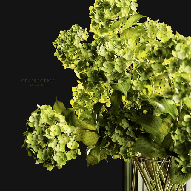 Grasshopper — Descargar