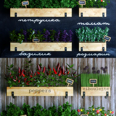 Kitchen garden — Ver 3