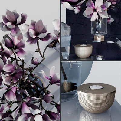 Decorative set with magnolia — Ver 3