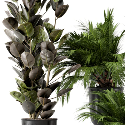 Indoor Plants in Ferm Living Bau Pot Large - Set 226 — Вид 7
