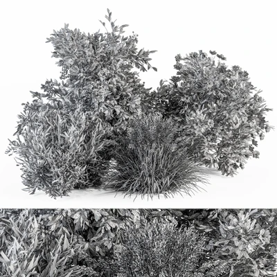 Mixed Plant Bush - Bush Set 49 — Вид 4
