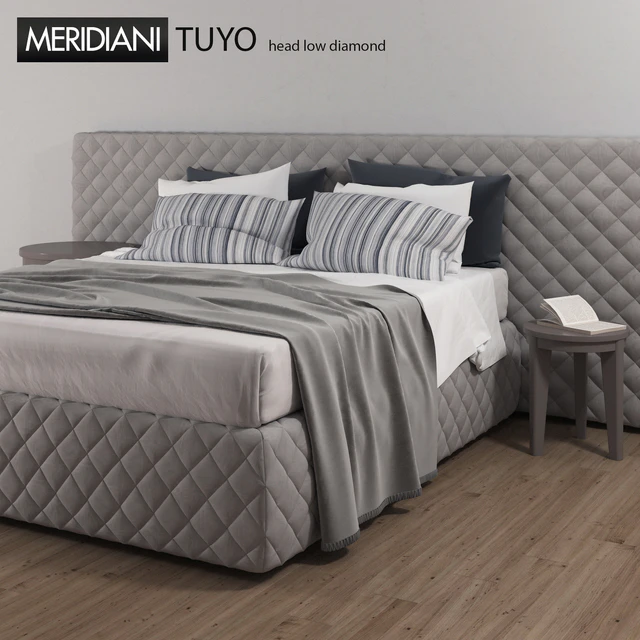 MERIDIANI TUYO diamond — Descargar