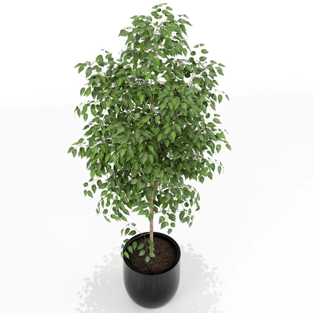 Plants collection 151 — Скачать