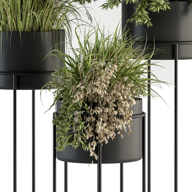 indoor Plant Set 370 - Tree and Plant Set Stand pot — Скачать