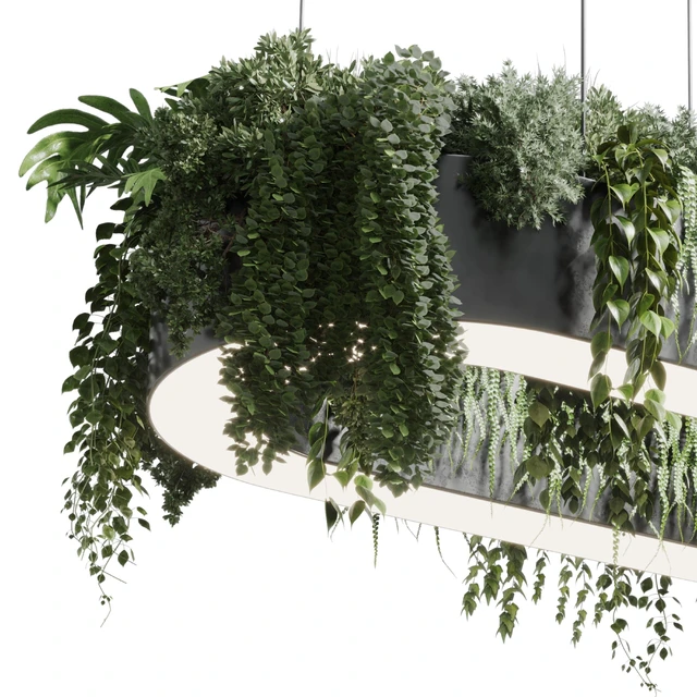 pot light - pendant plant light hanging 06 corona — Descargar