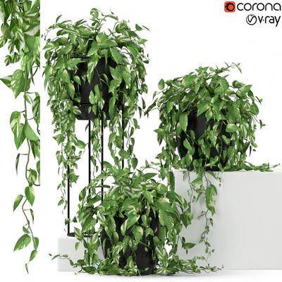 Plants collection 250 — Ver 1
