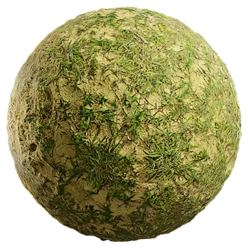 wild grass 045 — Descargar