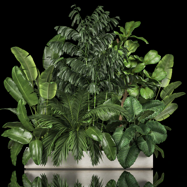 A collection of plants for a home garden with thickets and bushes, palm, strelitzia, flowerbed, flowerpot, ficus lirata. 1114. — Descargar