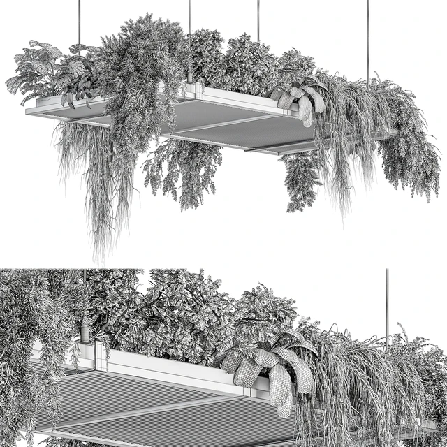 indoor Plant 443 - Hanging Plants — Descargar