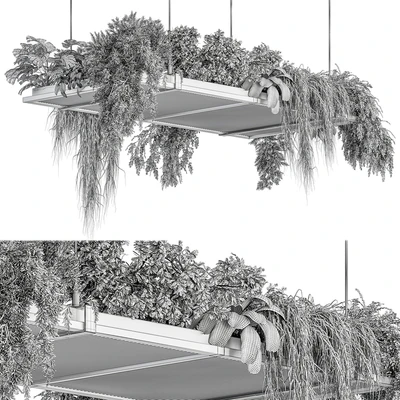indoor Plant 443 - Hanging Plants — Ver 5