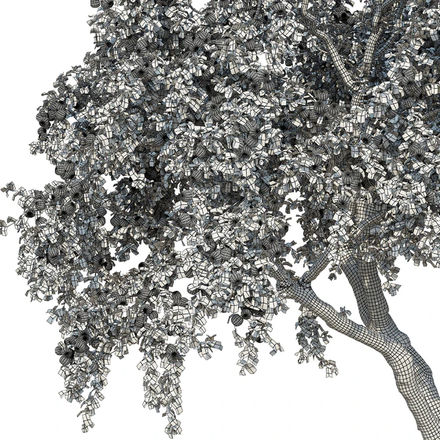 Apple tree — Descargar
