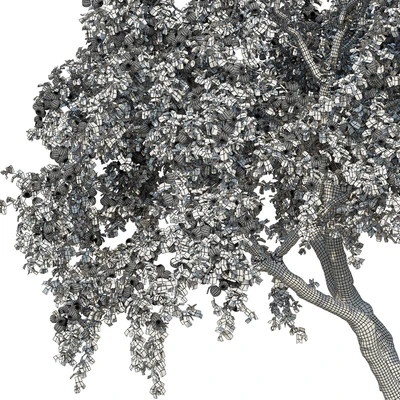 Apple tree — Ver 5