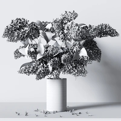 PLANT 004 — Вид 3