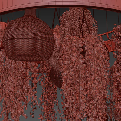 Plants with Wicker Pendants — Вид 5