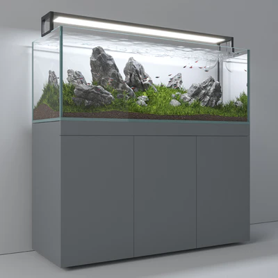 Aquascape aquarium Iwagumi — Вид 5