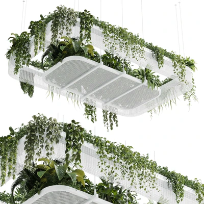 Hanging plants - indoor plant 323 corona — Ver 1