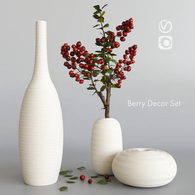 Decorative set with berries — Ver 1