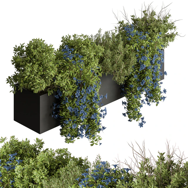 Hanging Plant - Outdoor Plants 503 — Descargar