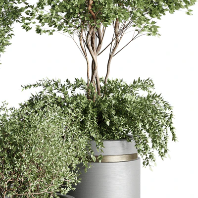 Tree pots and shrubs-bush collection 74 metal vase for outdoor indoor — Ver 6