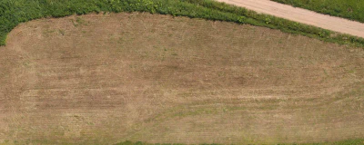 field summer 014 — Descargar