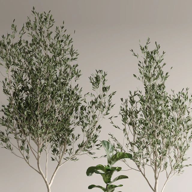 indoor plant set 43 — Descargar