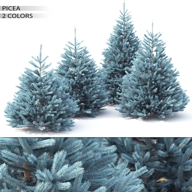 Spruce — Скачать