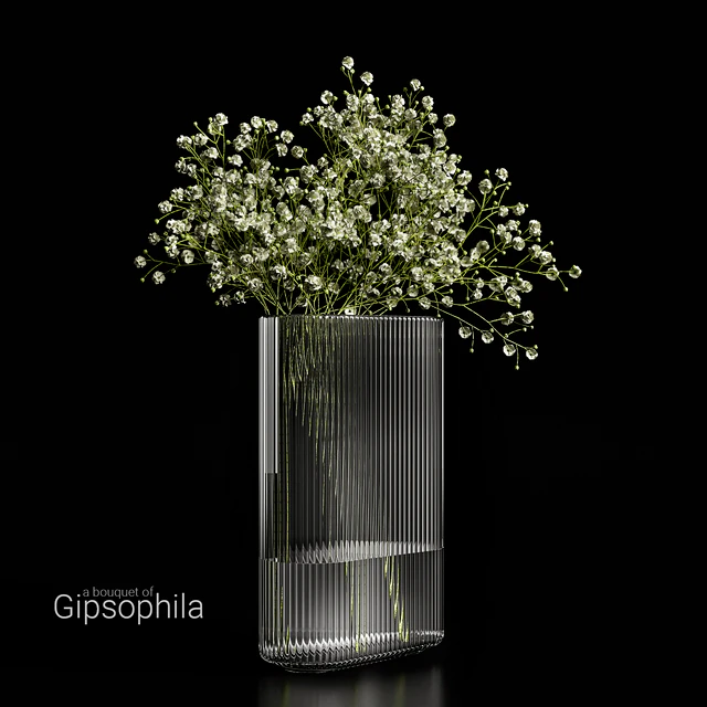 A bouquet of gypsophila — Скачать