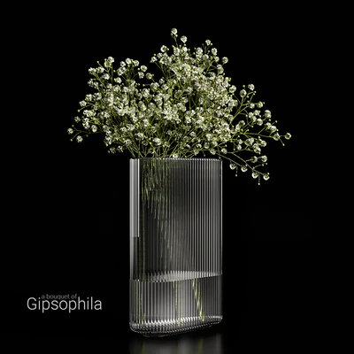 A bouquet of gypsophila — Вид 5