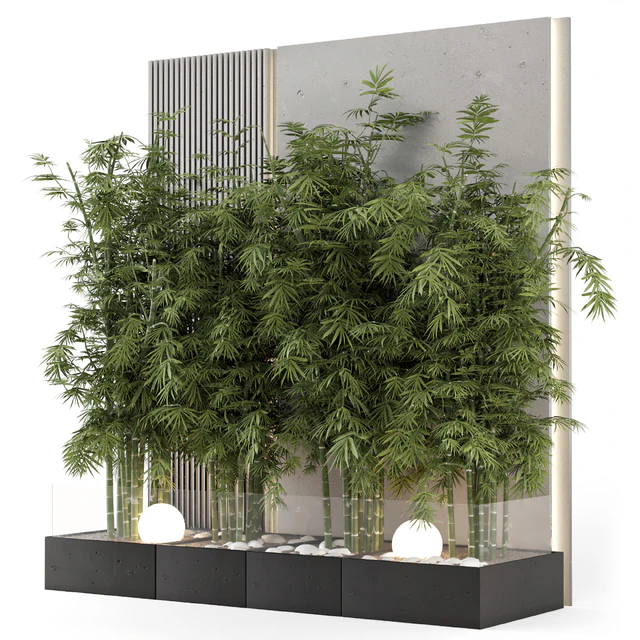 Indoor Wall  Bamboo Garden in Concrete Base - Set 1529 — Скачать