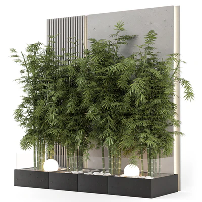 Indoor Wall  Bamboo Garden in Concrete Base - Set 1529 — Вид 1