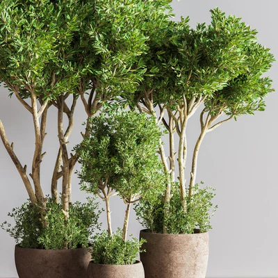 Indoor Plant Set 50 — Ver 5