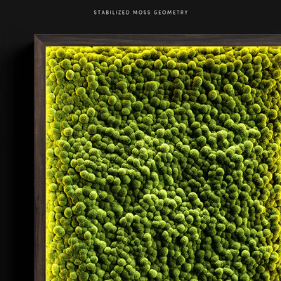 Mosswalls 2 — Ver 3