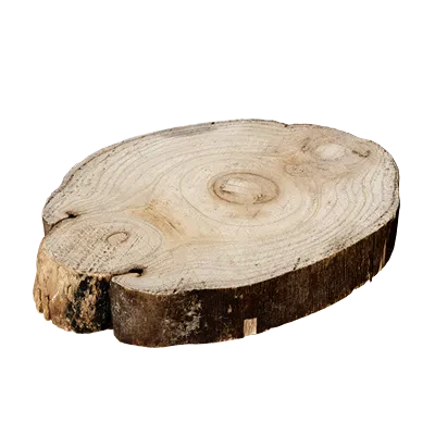 wooden plate rough 001 — Скачать