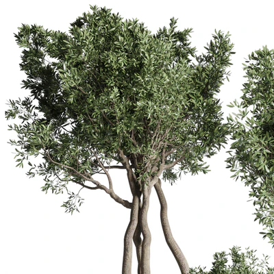 Collection Outdoor Indoor plant 77 concrete dirt vase pot tree bush — Вид 5
