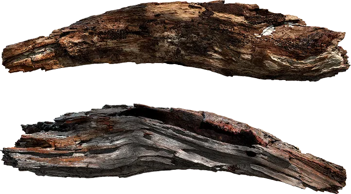 tree trunk piece 001 — Скачать