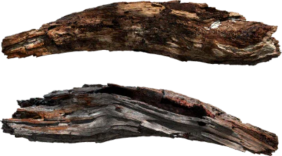 tree trunk piece 001 — Скачать