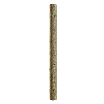 spruce branch bark 009 — Descargar