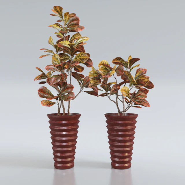 Red Croton — Скачать