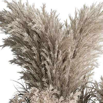 indoor Plant Set 406 - Dried Plant Set in Pot — Вид 5