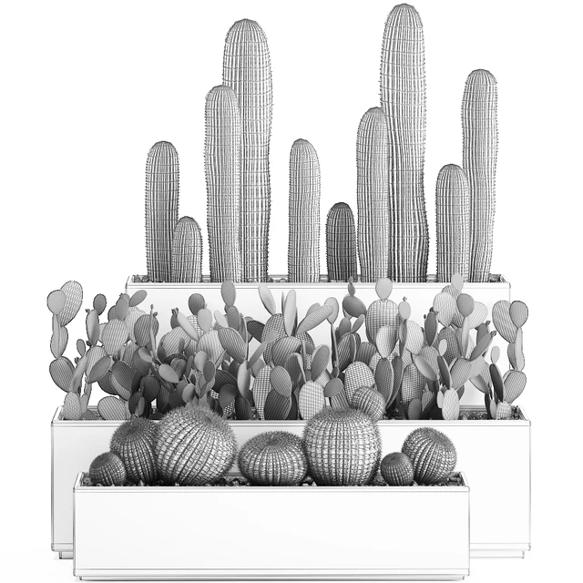 Collection of cacti in white pots Prickly pear, Barrel cactus, Echinocactus, desert plants, Garden, Prickly pear. Set 578. — Descargar