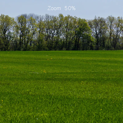 Panorama of a green field with flowers and trees. 32k — Ver 6