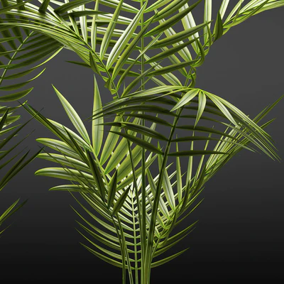 PLANTS 110 — Ver 3