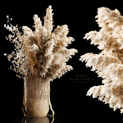 Basket of dry plants — Вид 1
