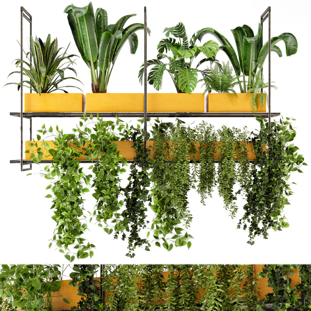 Indoor Hanging Plants in Metal Box - Set 78 — Descargar