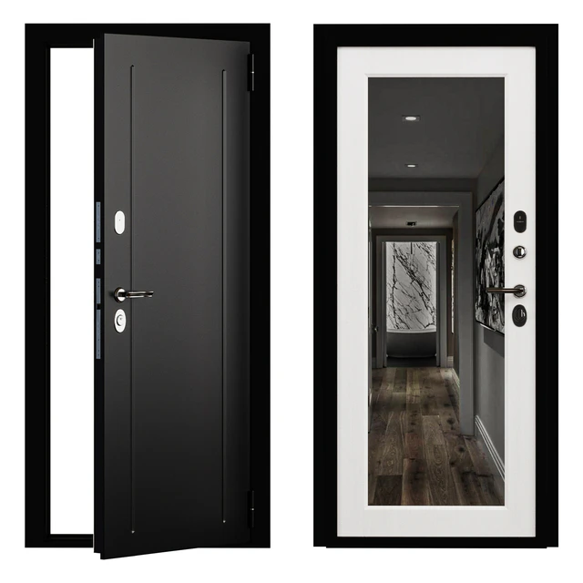 Entrance door Flush metal with a mirror — Descargar