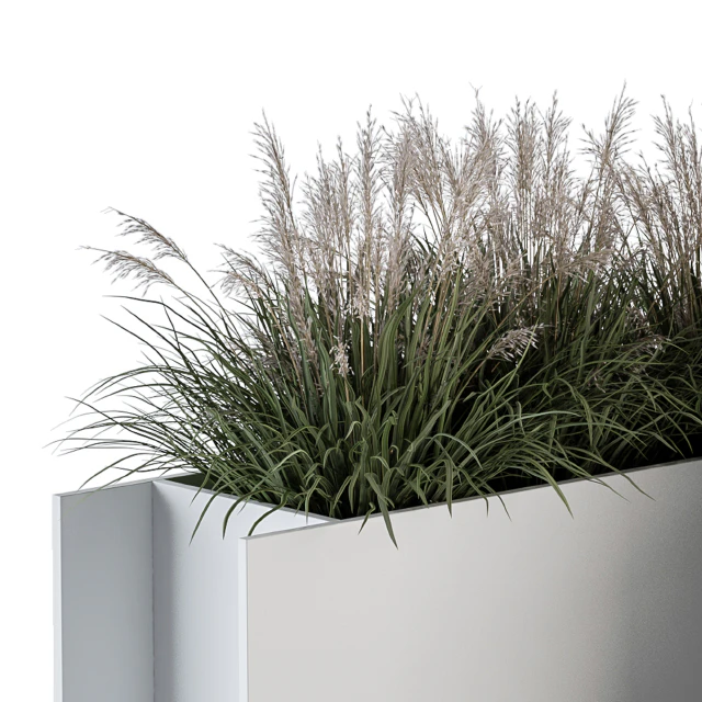 Outdoor Plant Set 288 - Grass in Plant Box — Descargar
