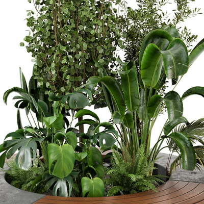Outdoor Garden set bush and Tree - Garden Set 54 — Вид 5