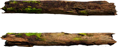 mossy tree log 002 — Скачать