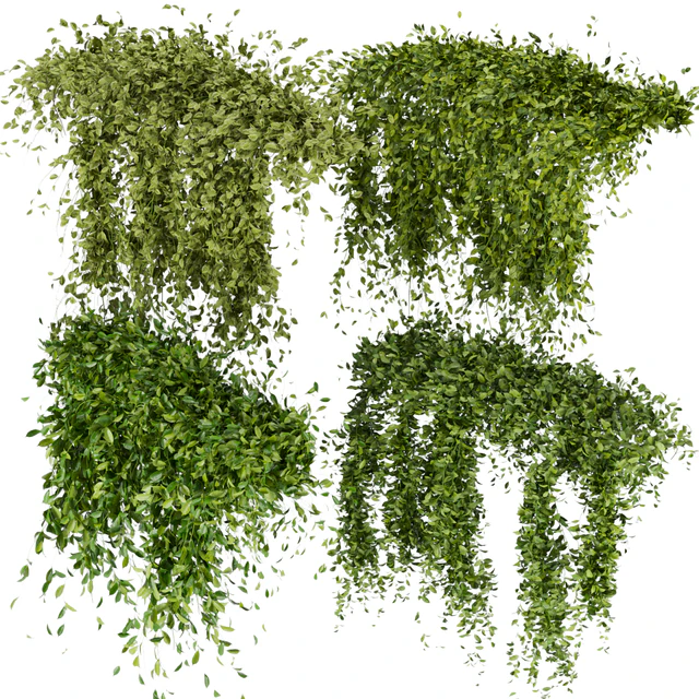 Collection Plant Vol 293 - Fitowall - Leaf - Ivy — Descargar