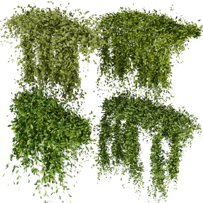 Collection Plant Vol 293 - Fitowall - Leaf - Ivy — Ver 1